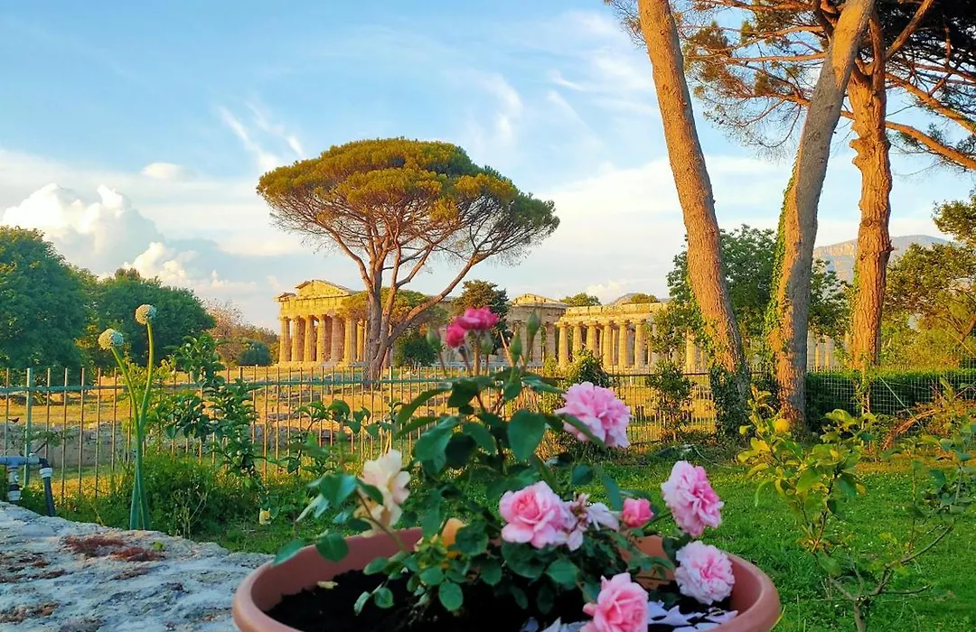 Il Giardino Di Athena-1