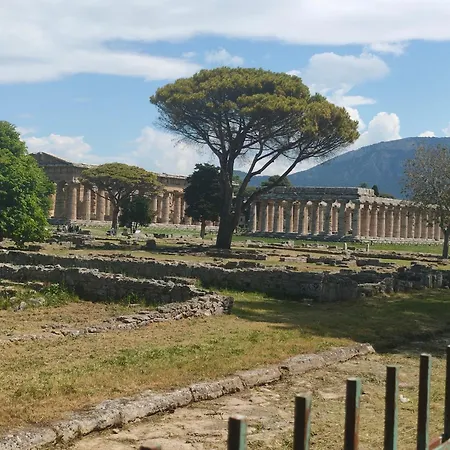 Il Giardino Di Athena-2